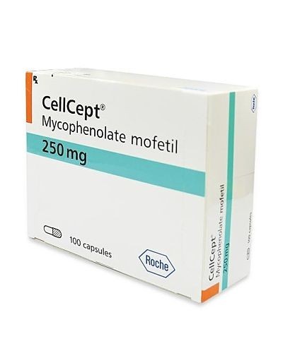 CellCept (Micofenolato...